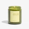 7.2oz Garedn Collection Candle - Mossy Stone