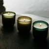 Sea Garden Glass Candle - Sea Moss & Driftwood