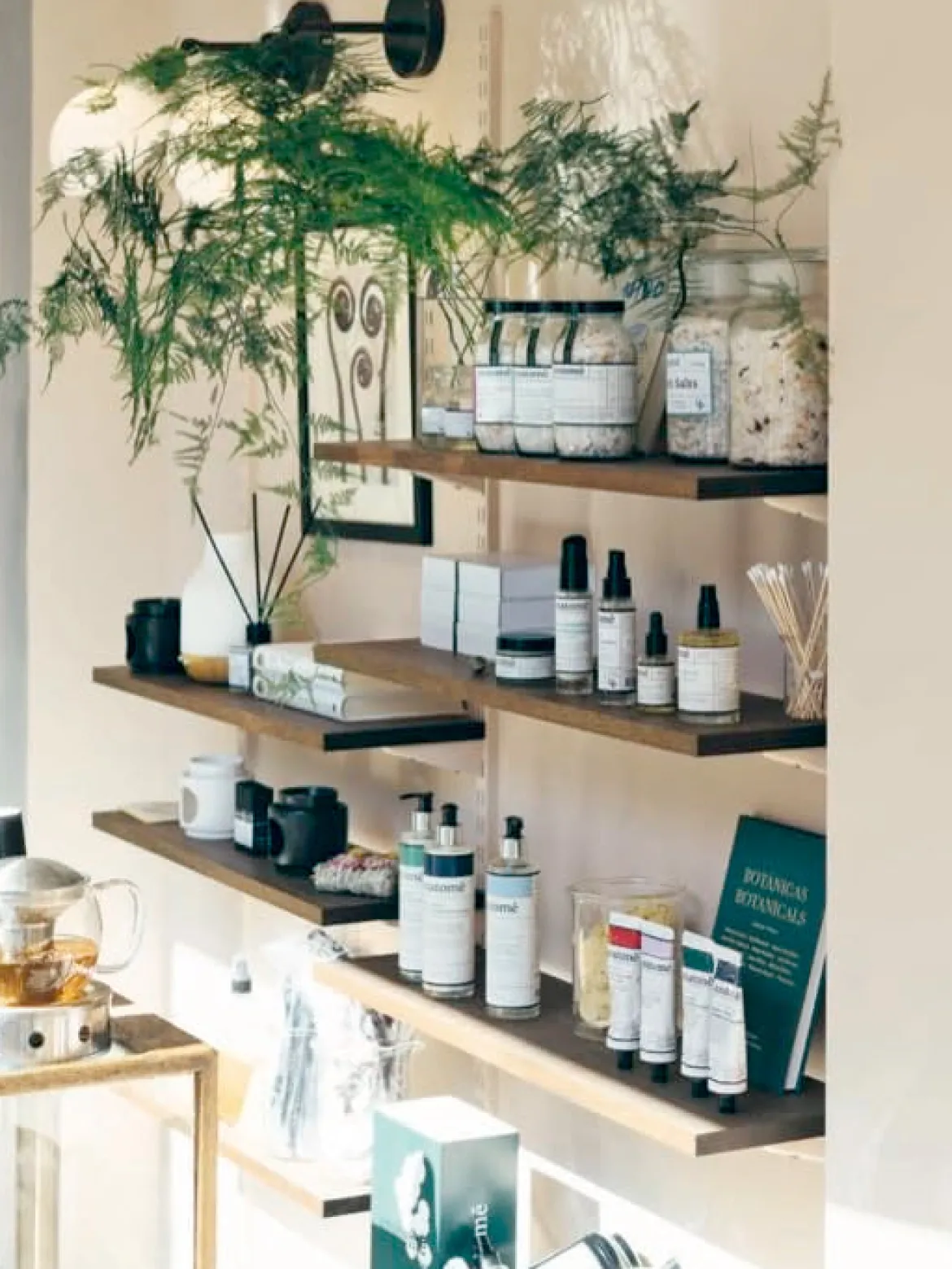 The Modern Apothecary